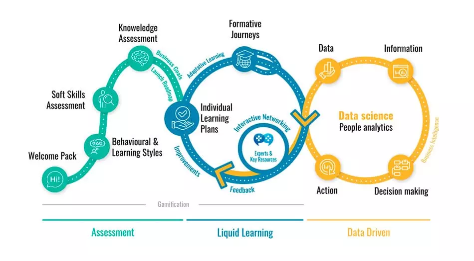 Diagrama liquid learning cycle