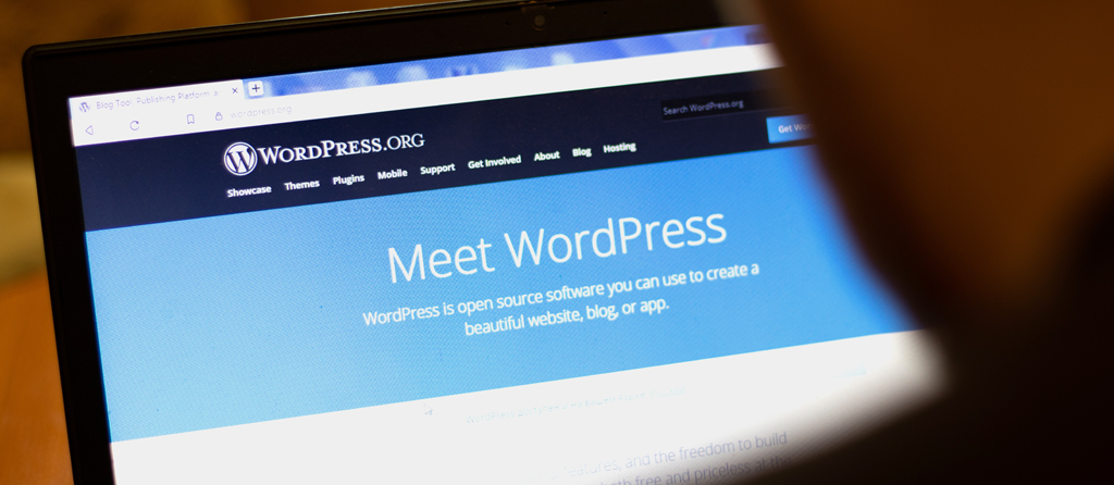 How Is WordPress Evolving in the Enterprise Market in 2025?